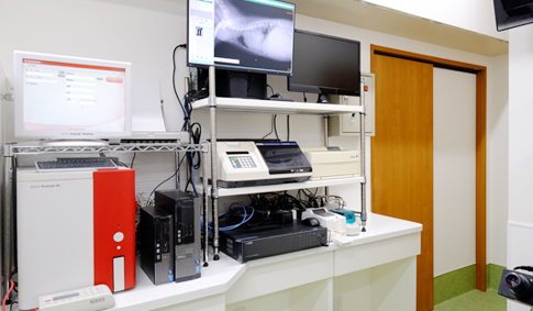 城南区七隈・七隈どうぶつ病院