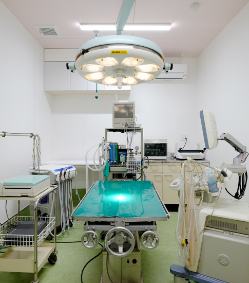 城南区七隈・七隈どうぶつ病院