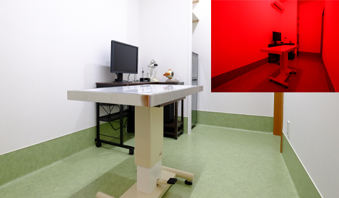 城南区七隈・七隈どうぶつ病院